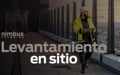 ¿Qué es un levantamiento en sitio?